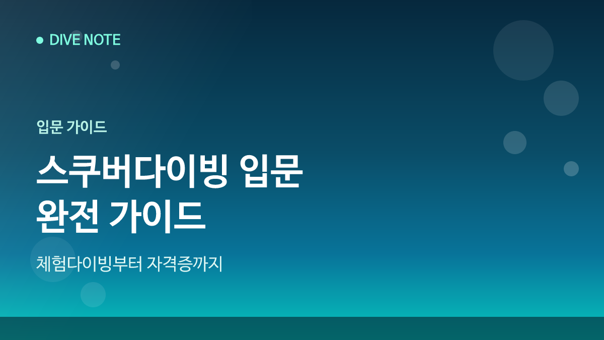 스쿠버다이빙 입문 완전 가이드 — 체험부터 자격증까지